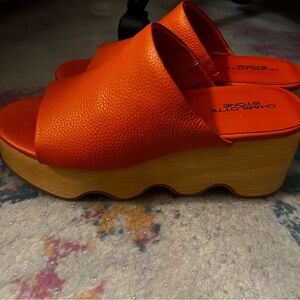 Brand new never worn Charlotte Stone platform slides.